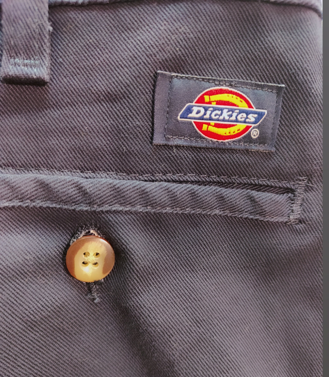 Dickies Skateboarding Regular Fit Pants W 45