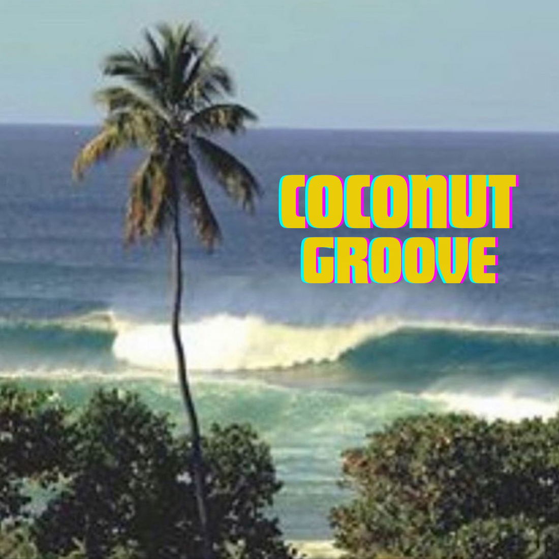 #3 Coconut Groove